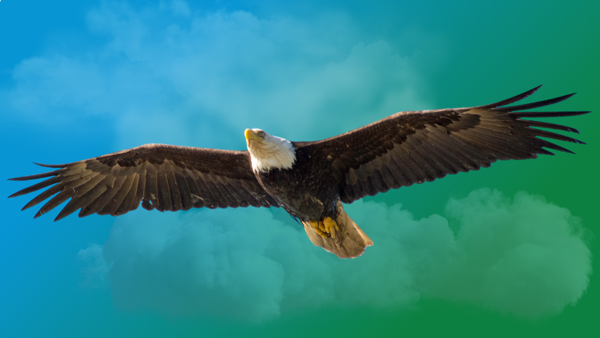Spirit Animal Eagle & the Great Spirit: Soaring to Divine Heights