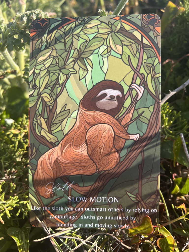 Spirit Animal Card Sloth