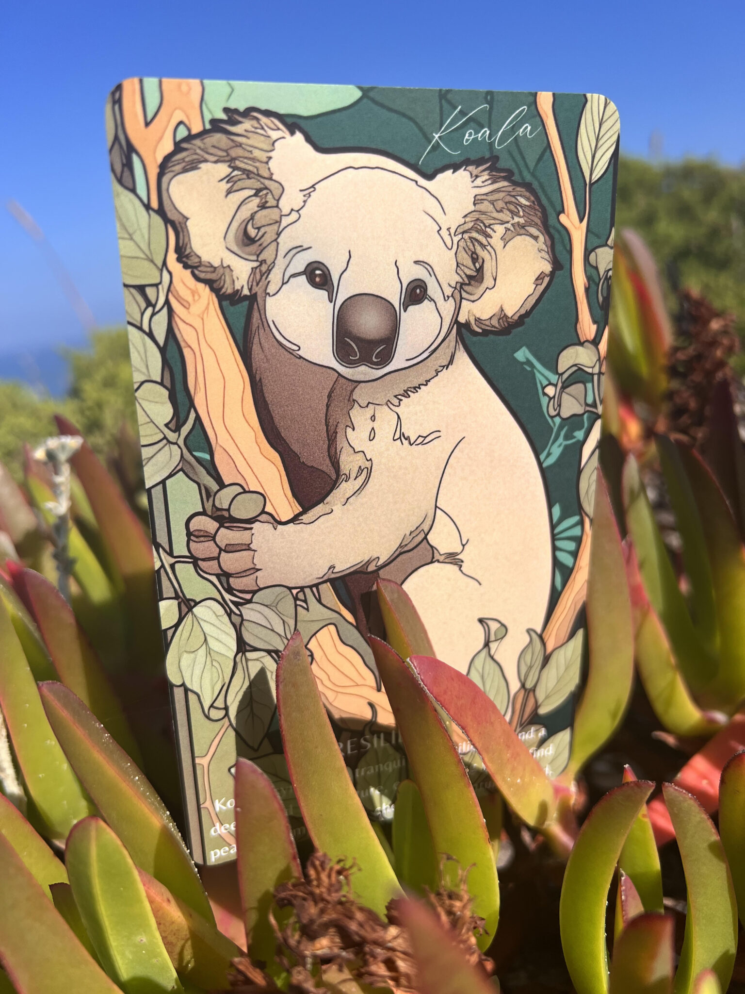 Koala oracle card from The Path of the Paws