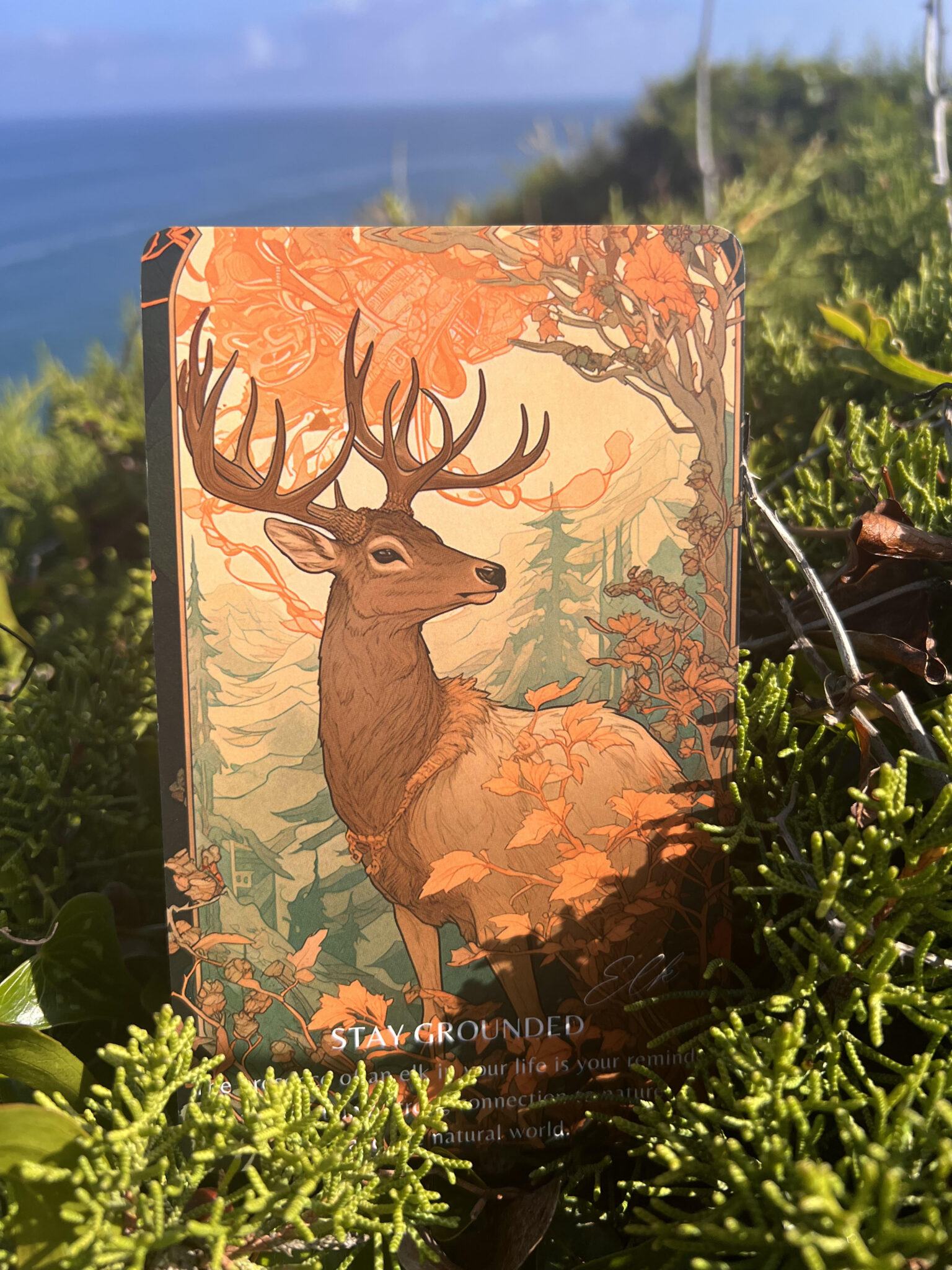 Deer oracle card from The Path of the Paws