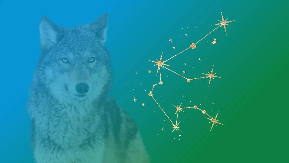 Aquarius-Zodiac-Spirit-Animal-Wolf
