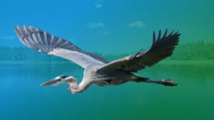 Spirit Animal Blue Heron