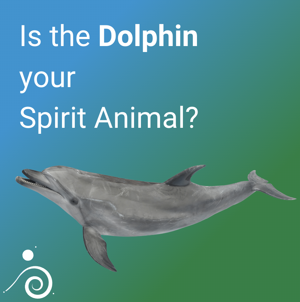 Dolphin Spirit Guide