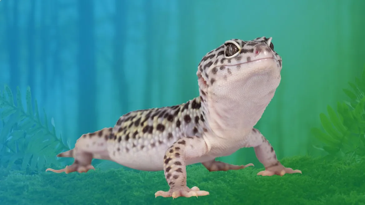 Gecko-Spirit-Guide