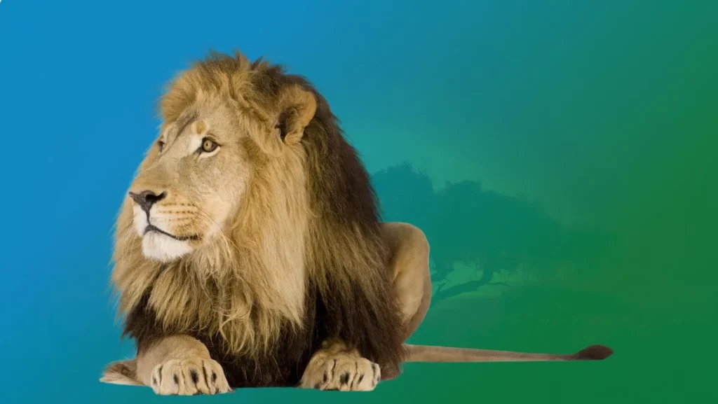 Power Animal Lion