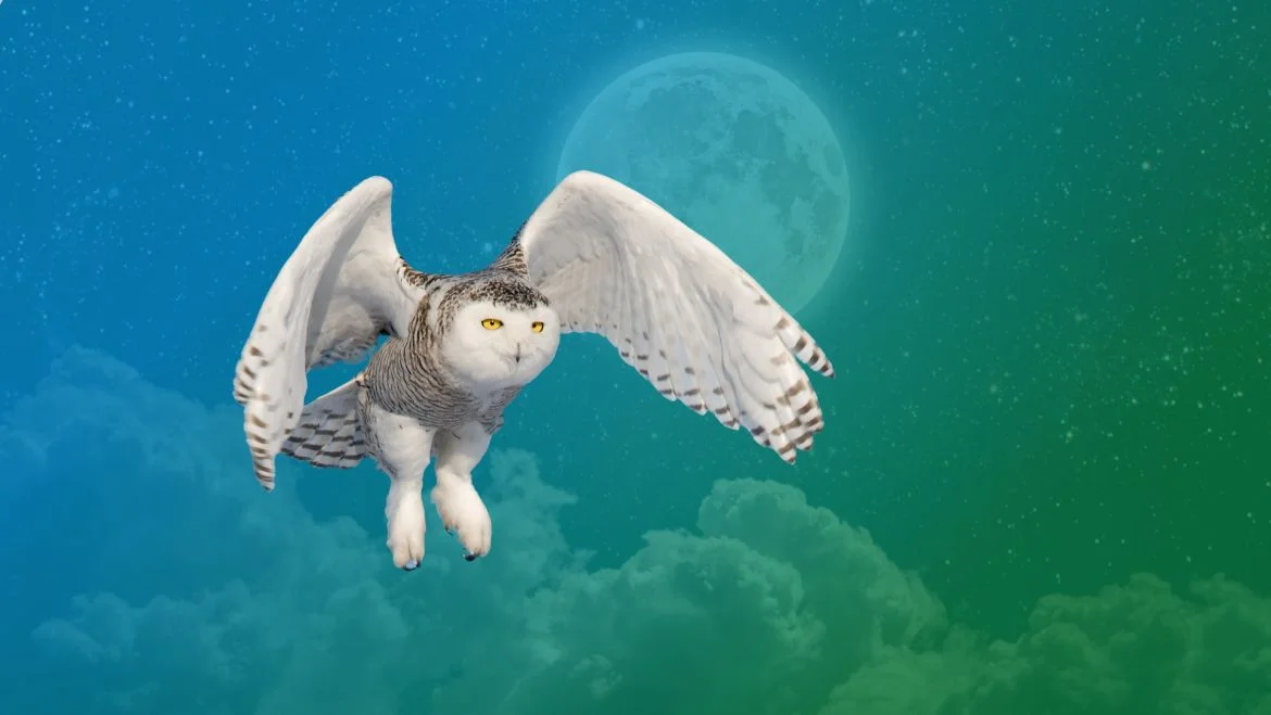 Owl Spirit Animal: Meaning, Symbolism and Messages