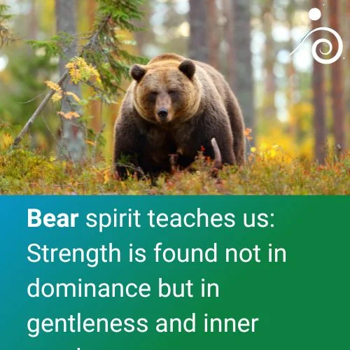 Spirit Animal Bear Quote