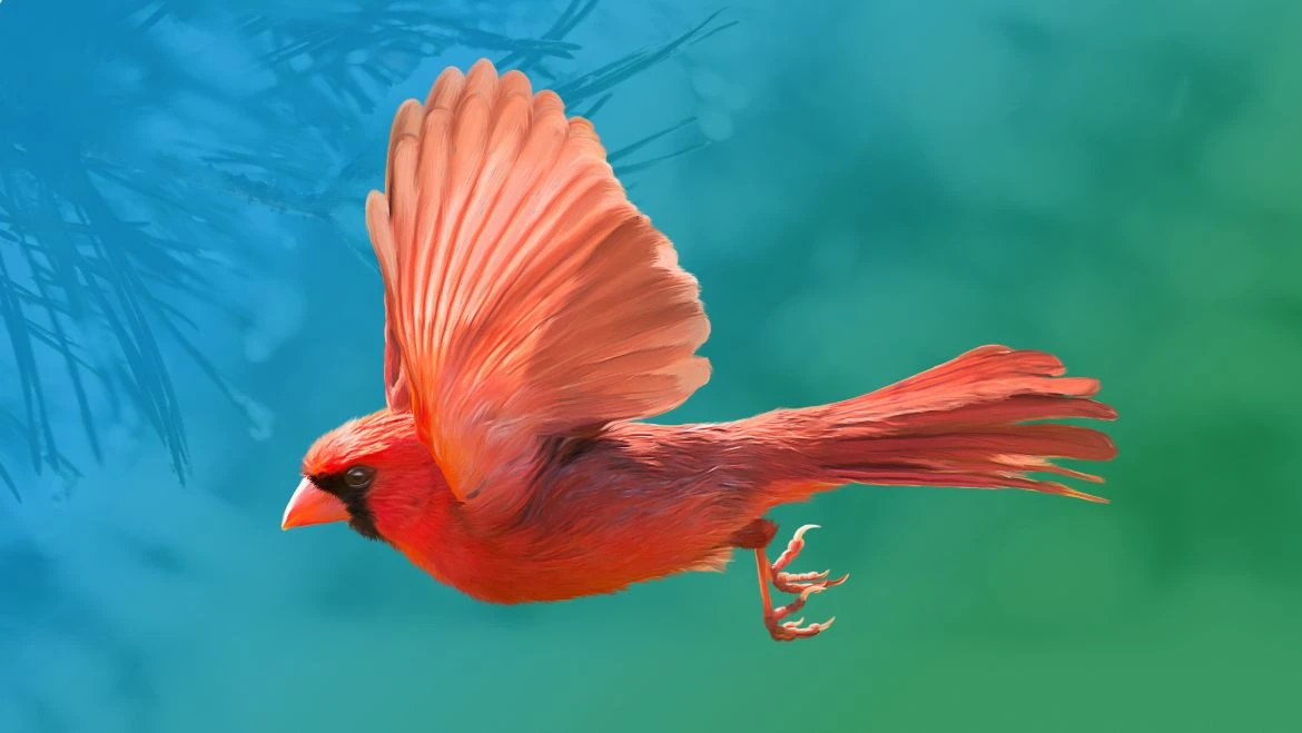 Spirit Animal Cardinal