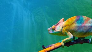 Spirit Animal Chameleon Embracing Change