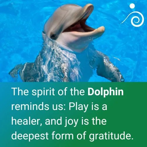 Spirit Animal Dolphin Quote