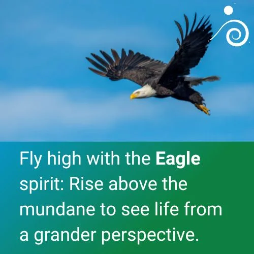 Spirit Animal Eagle Quote