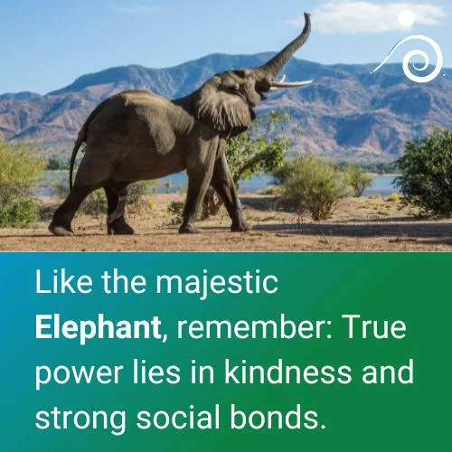 Spirit Animal Elephant Quote