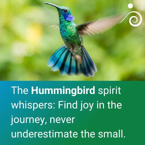 Spirit Animal Hummingbird Quote