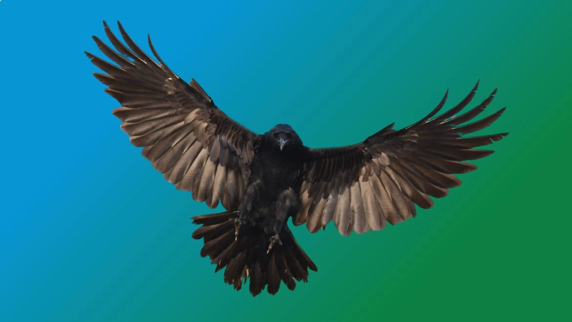 Spirit Animal Raven