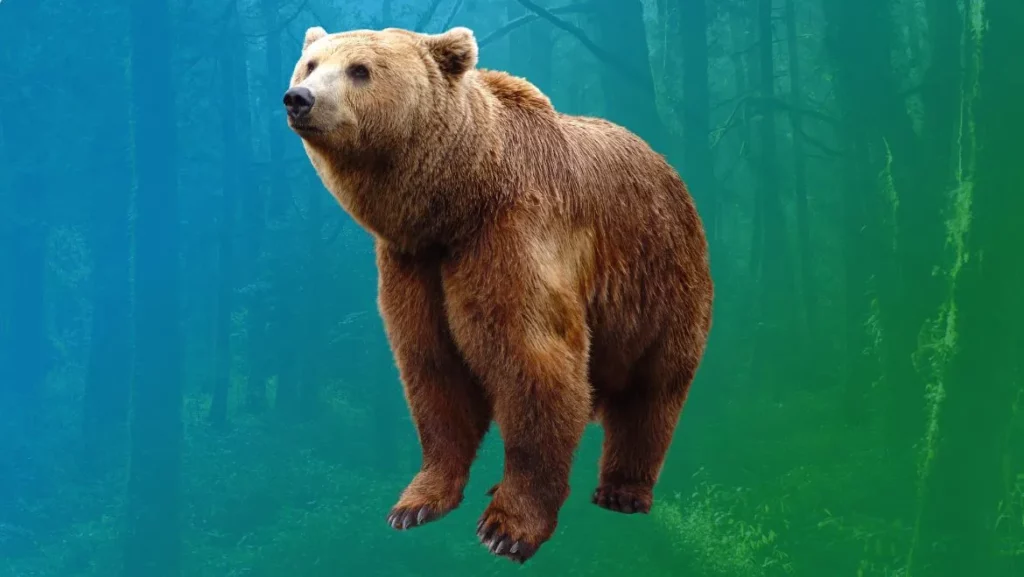 Spirit-Totem-Bear Grizzly