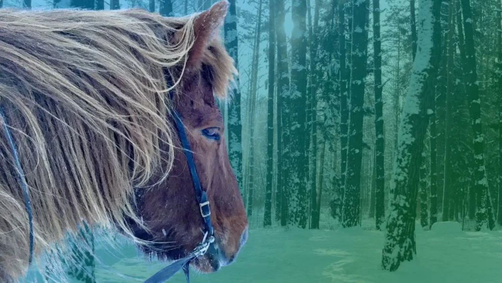 Viking-Horse-Totem-Animal