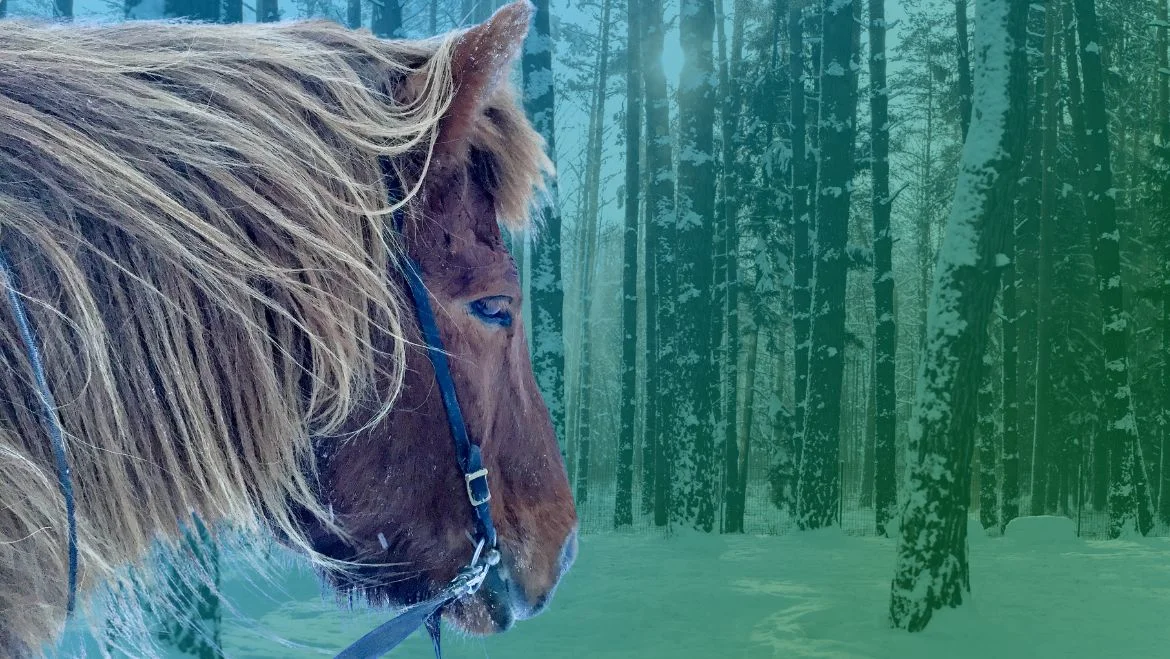 Viking-Horse-Totem-Animal