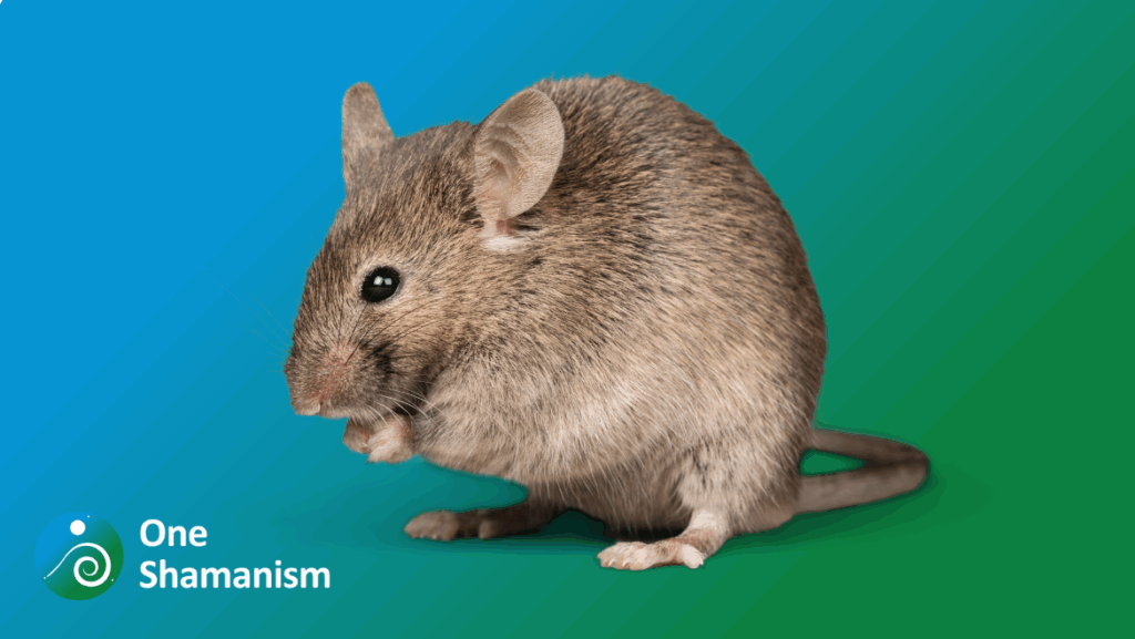 A resourceful mouse in an urban environment, representing adaptability.