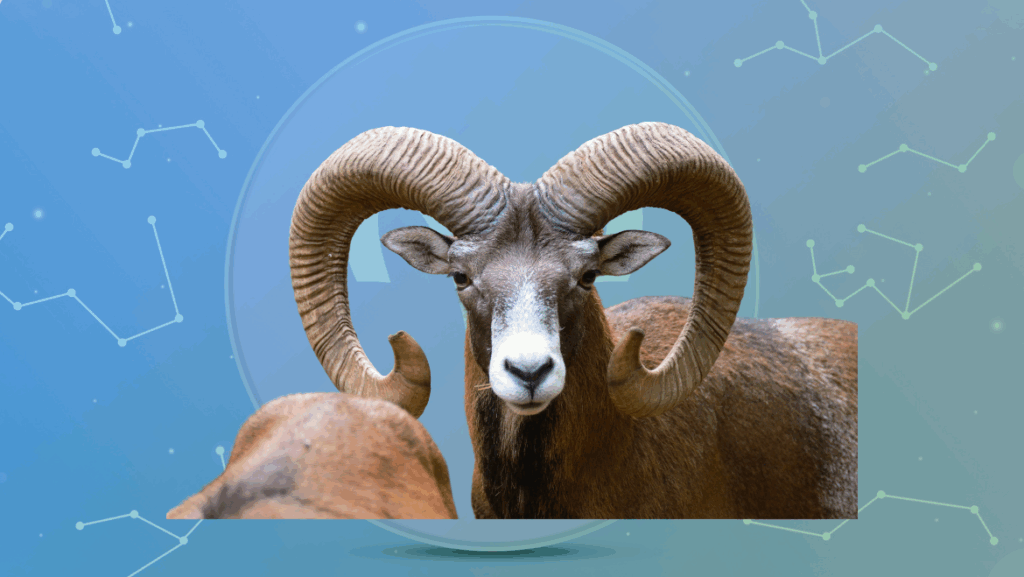 Aries Zodiac