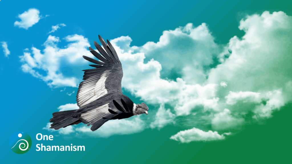 A majestic Andean Condor soaring over mountains, symbolizing vision and power