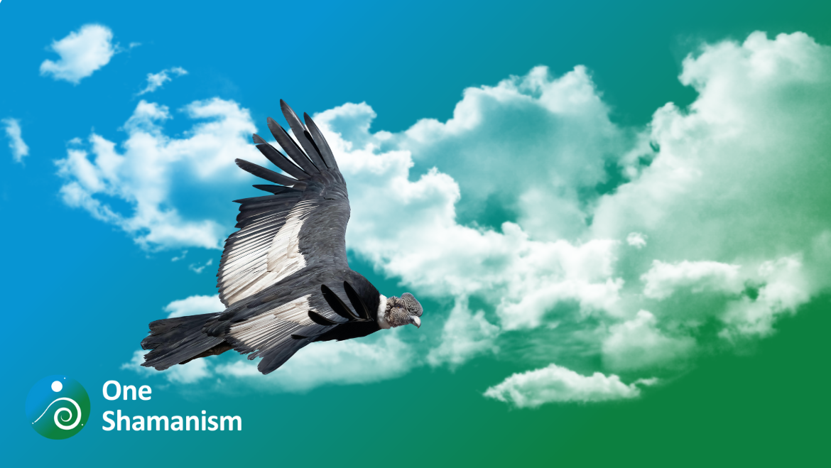 Spirit Animal Condor: Guide to Power & New Opportunities | One Shamanism