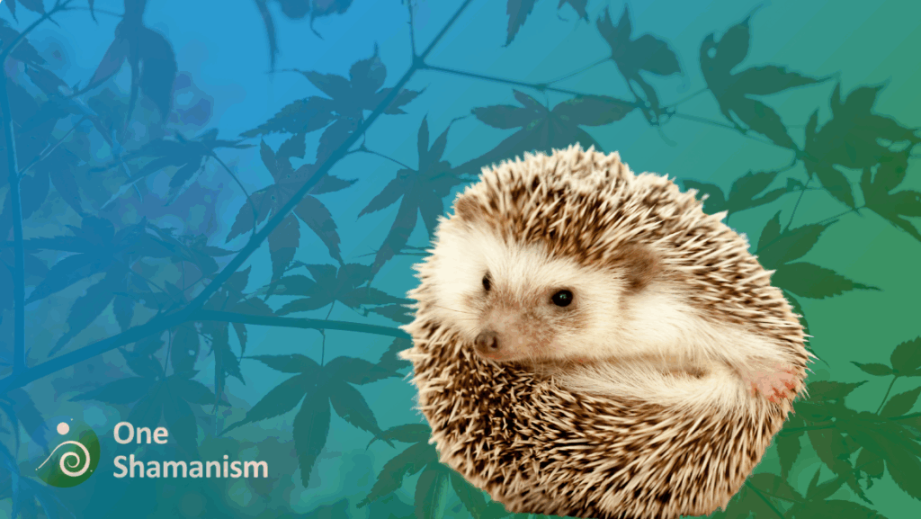 A cute hedgehog curled in a protective ball, symbolizing boundaries and self-defense