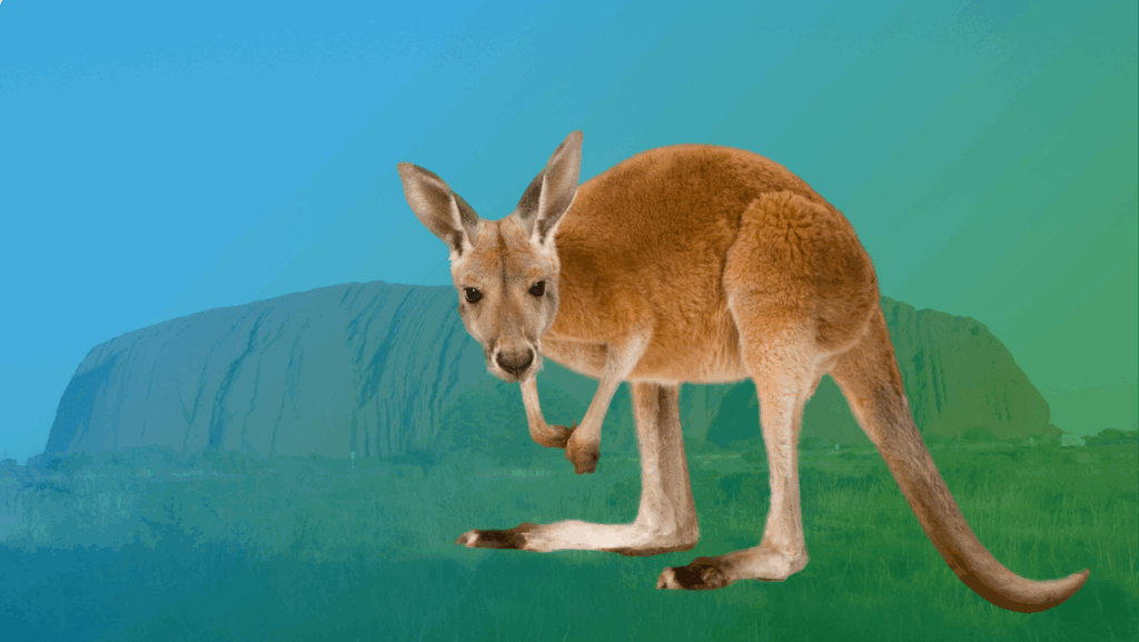 A kangaroo leaping across a field, symbolizing forward momentum and progress