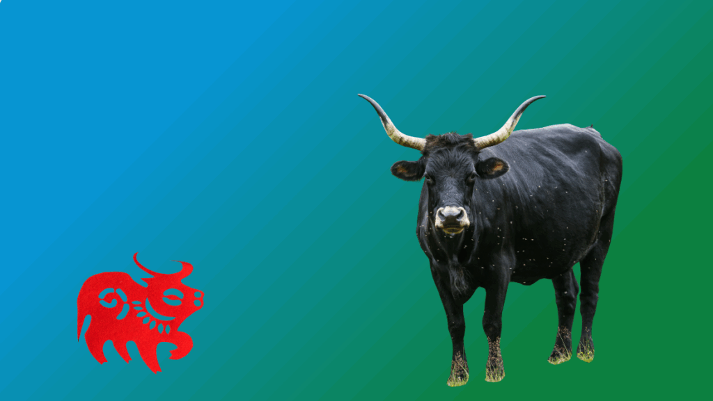 Year of the Ox 