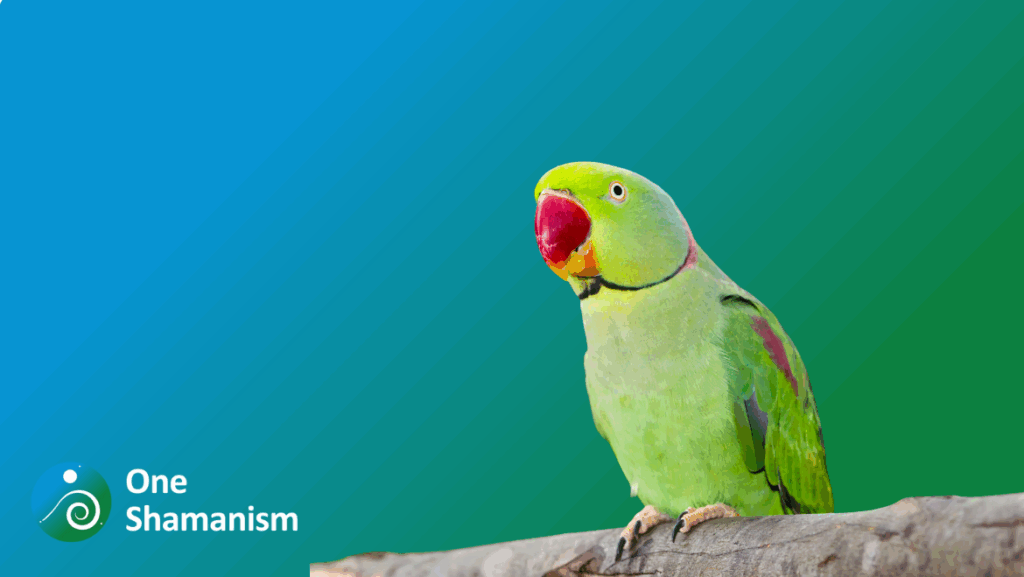 A colorful parrot perched on a branch, symbolizing joyful communication.