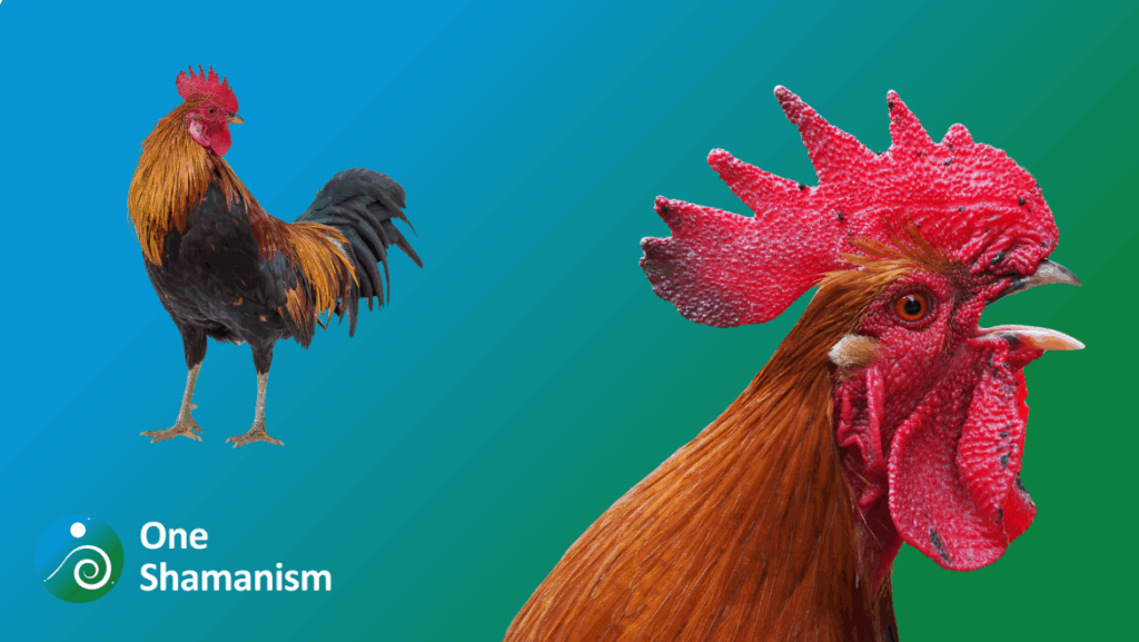 A proud rooster crowing at dawn, symbolizing new beginnings and confidence,