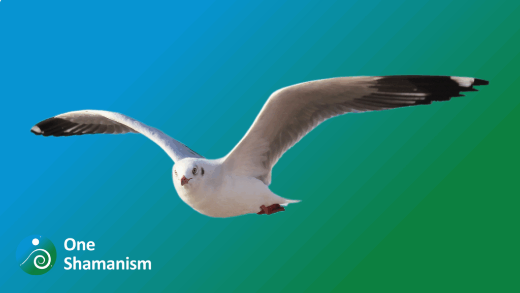 A seagull soaring over the ocean, symbolizing freedom and adventure