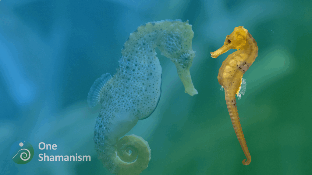 A graceful seahorse anchored to seagrass, symbolizing patience and stillness