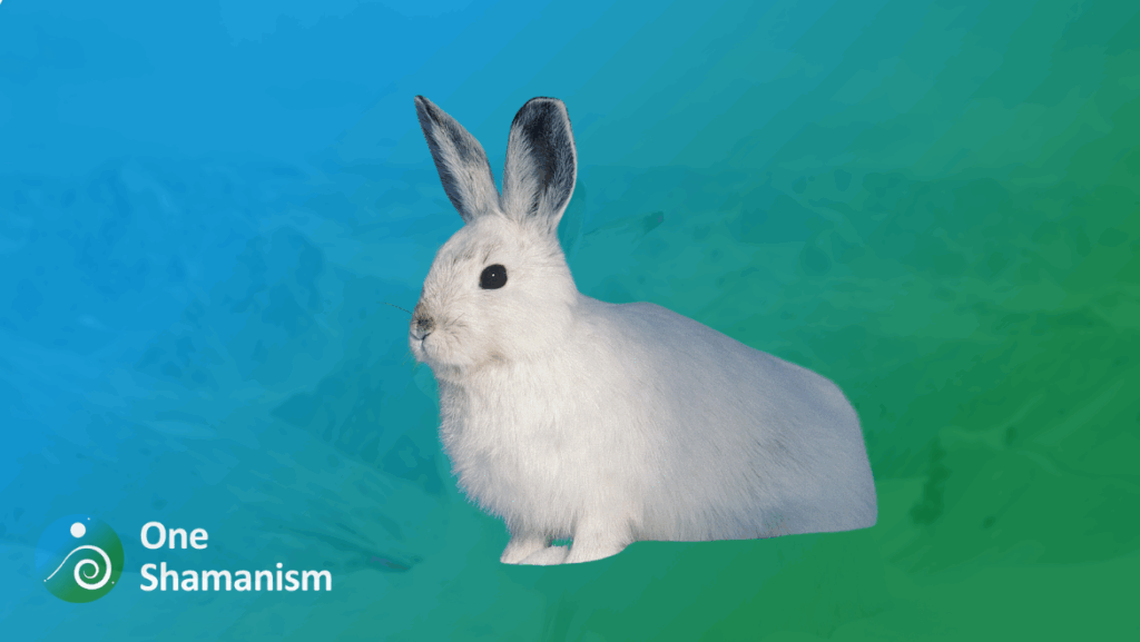 A white snow rabbit camouflaged in the snow, symbolizing adaptability and resilience.