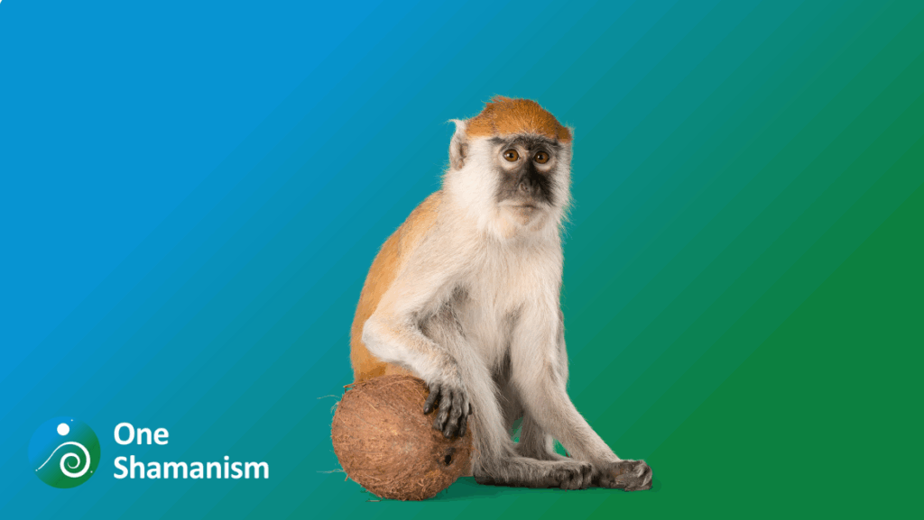 A curious monkey looking thoughtfully at the camera, symbolizing intelligence,