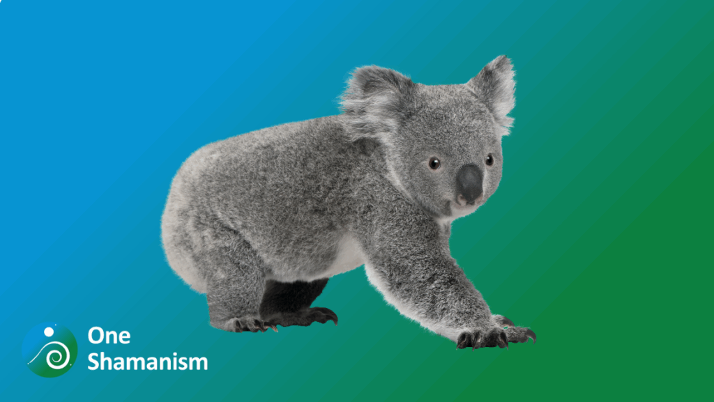 A serene koala resting in a eucalyptus tree, symbolizing tranquility and self-care