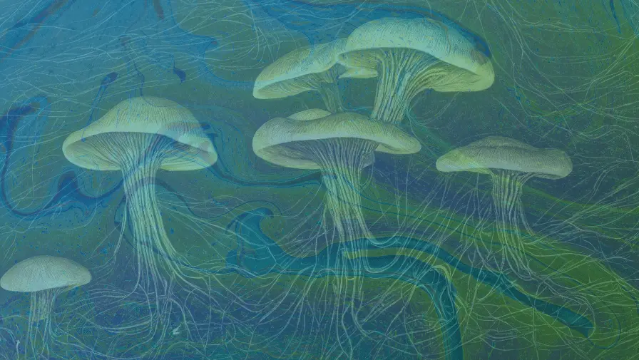 Eli Lilly’s $3.8B Psychedelic Bet: What It Means