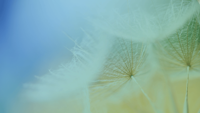10 Symptoms of Soul Loss and What to Do About Them