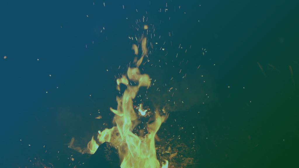 Oracle Cards vs Tarot: Which One Is for You?