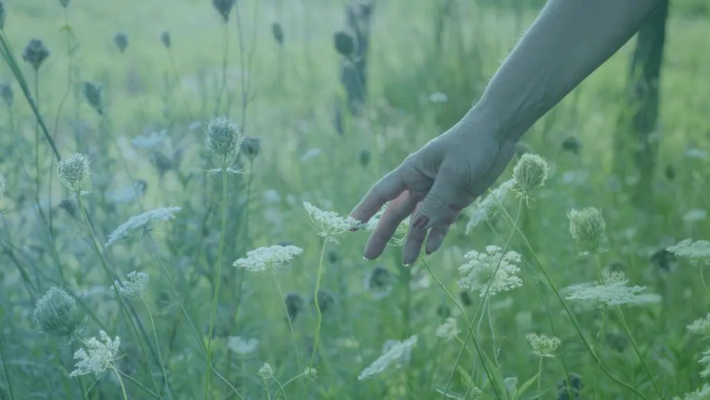 How to Honor Your Spirit Animal: Simple Rituals