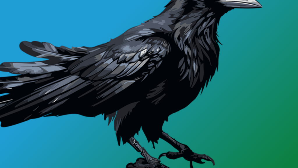 Raven